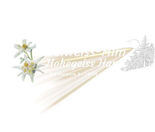 Edelweiss-Alm   Hohegeiss Harz Am Kurpark 3 - 38700 Hohegeiß